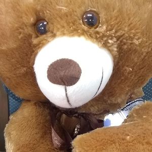 Teddy, a teddy bear with built-in technology.