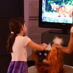 Dos niños interactuando con el "Lobo-Guará" y viendo las informaciones proyectadas en la pantalla.